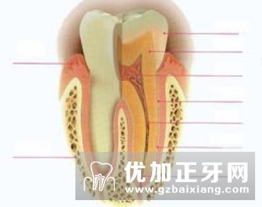 种植牙是缺牙修补的首选修复法