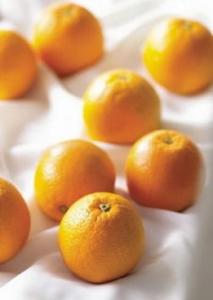 橙子的功效与作用:具有生律止渴、消食下气、去油腻