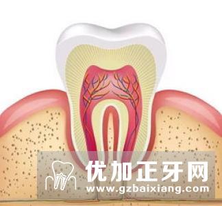 牙齿松动的程度不同,你了解吗?牙齿的活动度大于生理范围吗?
