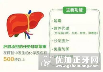 老年人呵护肝脏的八个习惯(1)
